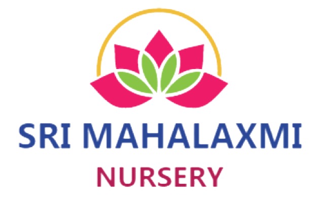 sri-mahalaxmi-nursery-Client-at-BSIT-Software-Services-Web-And-App-Development-Company-In-India