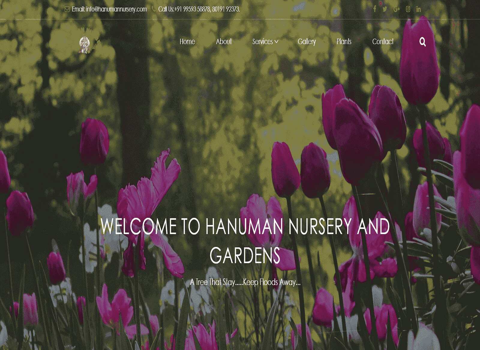 Hanuman-Nursery-Project-overview-screen-at-BSIT-Software-Services-Web-And-App-Development-Company-In-India