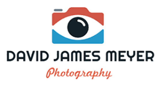 Our-Clients-David-Photography-at-BSIT-Software-Services-Web-And-App-Development-Company-In-India