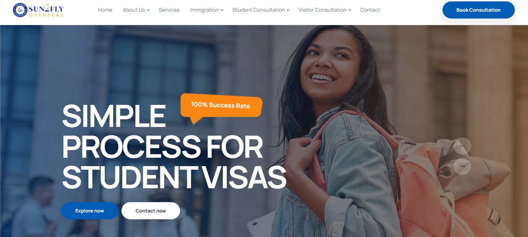 Sunflyoverseas-Project-Overview-at-BSIT-Software-Services-Web-And-App-Development-Company-In-India